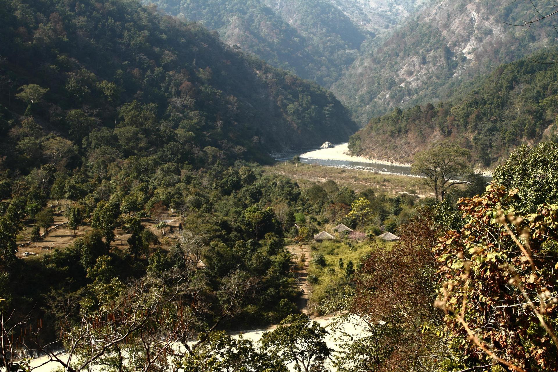 Forrest in vanghat