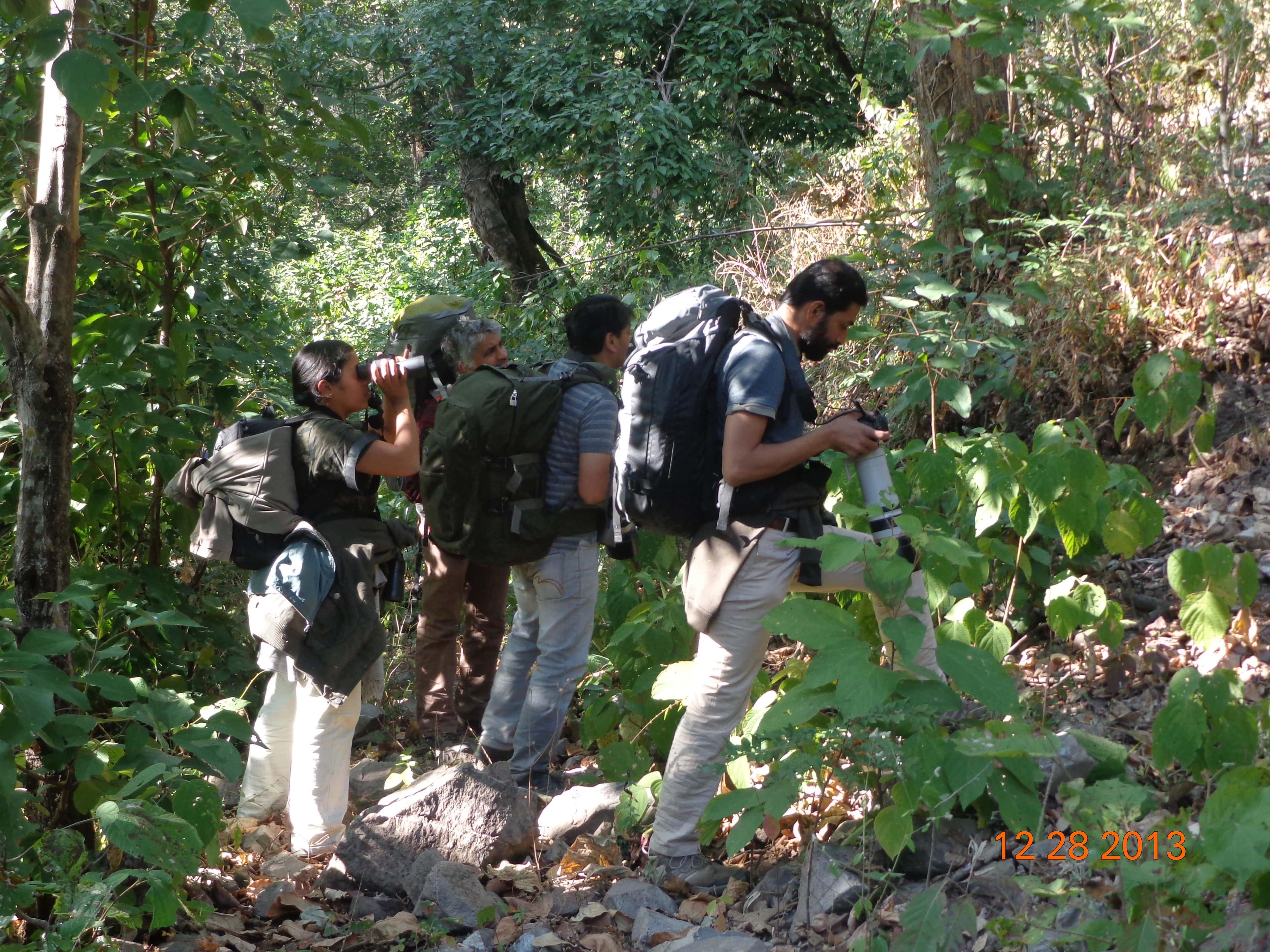 Nature trail at vanghat