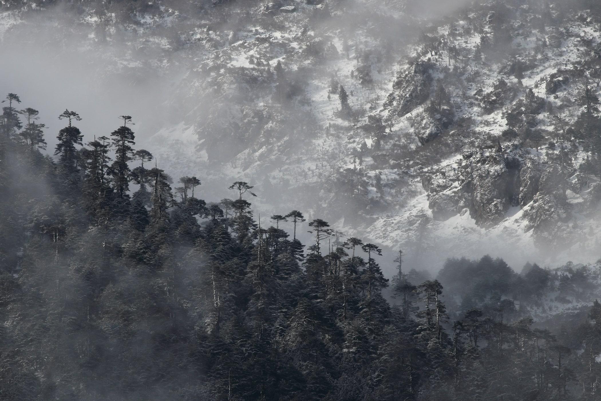 Tawang